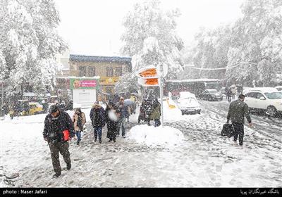 تہران میں موسم کی پہلی برفباری