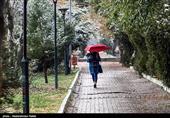 هواشناسی ایران 99/9/15| بارش برف و باران در 30 استان