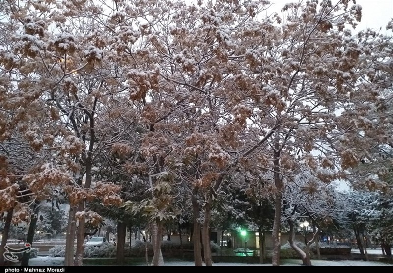 برف پاییزی٬ زنجان را سفید پوش کرد+ تصاویر