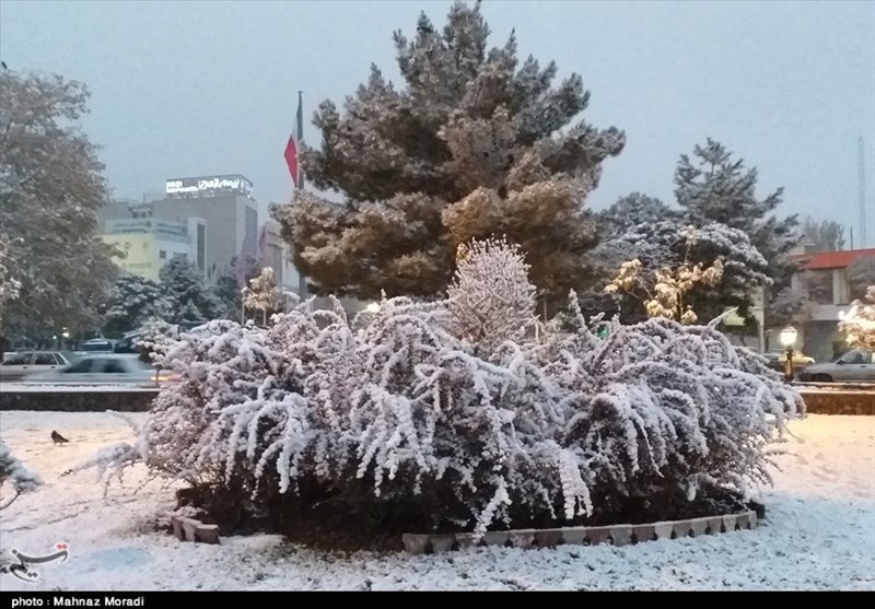 مسئولین شهری زنجان توان مدیریت بارش برف را دارند؟