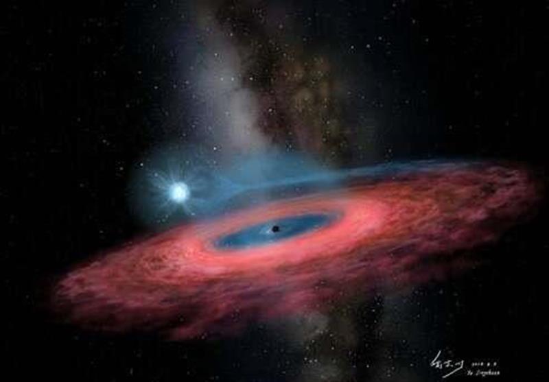 Unpredicted Stellar Black Hole Discovered by Astronomers