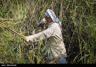 بوریا بافی - خوزستان
