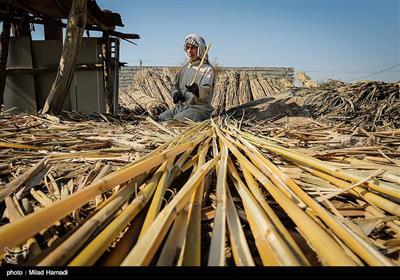 ابو عبدالله شاخ و برگ ها را جدا می کند و نی ها درگوشه ی حیاط خانه خشک می شوند