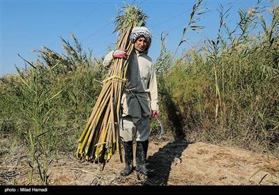 بوریا بافی - خوزستان