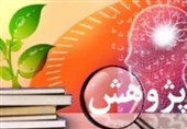 رشد حوزه پژوهش دانشگاه‌ها و پارک علم و فناوری استان ایلام امیدوار کننده است