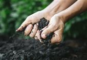 World Soil Day: Soil A Non-Renewable Resource