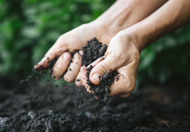 World Soil Day Soil A NonRenewable Resource Economy news Tasnim