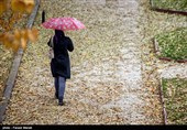 افزایش بیش از 60 درصدی بارندگی در استان فارس + جدول میزان بارشها