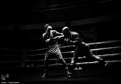 Iranian Boxers Claim Four Bronze Medals at Ahmet Comert Tourney