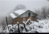 هواشناسی ایران 1398/09/15| پیش بینی برف و باران تا روز سه شنبه در اکثر مناطق کشور