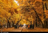 Festival of Alluring Colors in Isfahan’s Chahar Bagh
