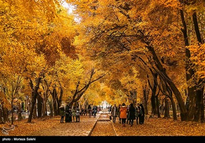 Festival of Alluring Colors in Isfahan’s Chahar Bagh