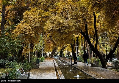 چهارباغ یکی از خیابان‌های تاریخی و اصلی اصفهان به شمار می رود که بین دروازه دولت و سی و سه پل قرار دارد.
