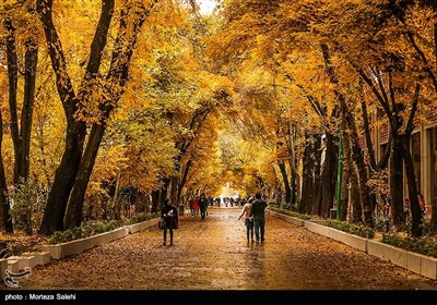 Festival of Alluring Colors in Isfahan’s Chahar Bagh