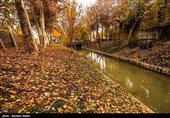 Festival of Alluring Colors in Isfahan’s Chahar Bagh