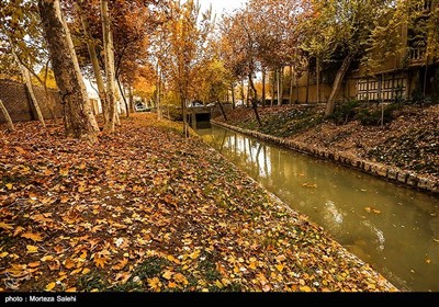 Festival of Alluring Colors in Isfahan’s Chahar Bagh