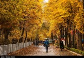 Festival of Alluring Colors in Isfahan’s Chahar Bagh