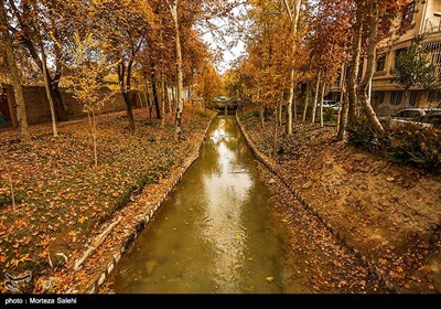 Festival of Alluring Colors in Isfahan’s Chahar Bagh