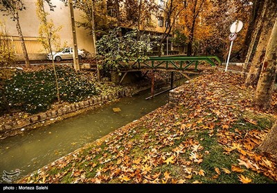 Festival of Alluring Colors in Isfahan’s Chahar Bagh