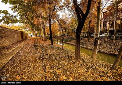 Festival of Alluring Colors in Isfahan’s Chahar Bagh