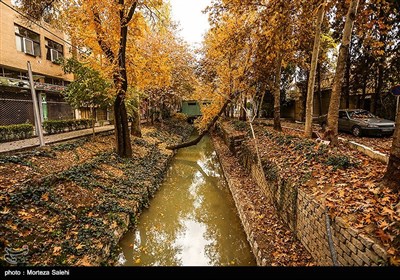 Festival of Alluring Colors in Isfahan’s Chahar Bagh