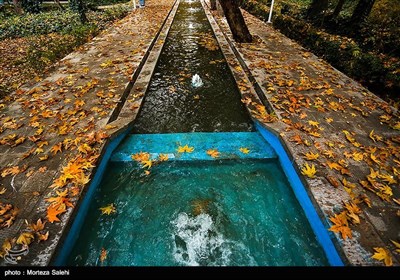 Festival of Alluring Colors in Isfahan’s Chahar Bagh