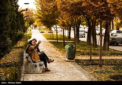 طبیعت پاییزی خیابان چهار باغ اصفهان که به چهار باغ نیز معروف است .
