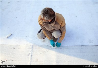 بازدید از دو پروژه عمرانی زیرگذر گیشا و استادمعین