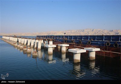 افتتاح درمانگاه شفا پایگاه دریایی مکران