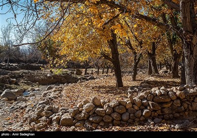 طبیعت پاییزی روستای حصار -فارس