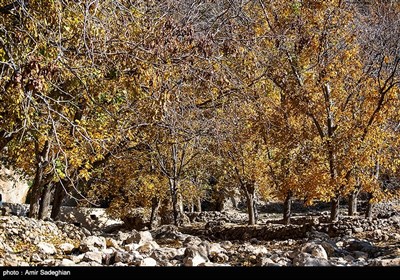 طبیعت پاییزی روستای حصار -فارس