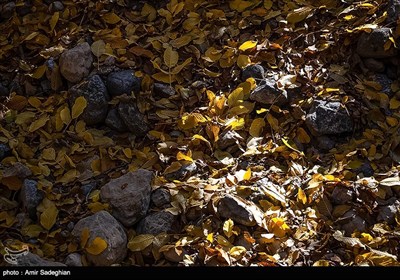 طبیعت پاییزی روستای حصار -فارس