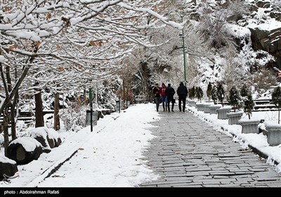 طبیعت برفی آبشار گنجنامه همدان