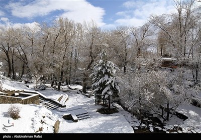 طبیعت برفی آبشار گنجنامه همدان