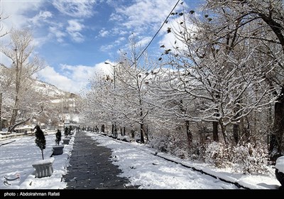 طبیعت برفی آبشار گنجنامه همدان