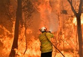 Toxic Bushfire Haze Blankets Eastern Australia