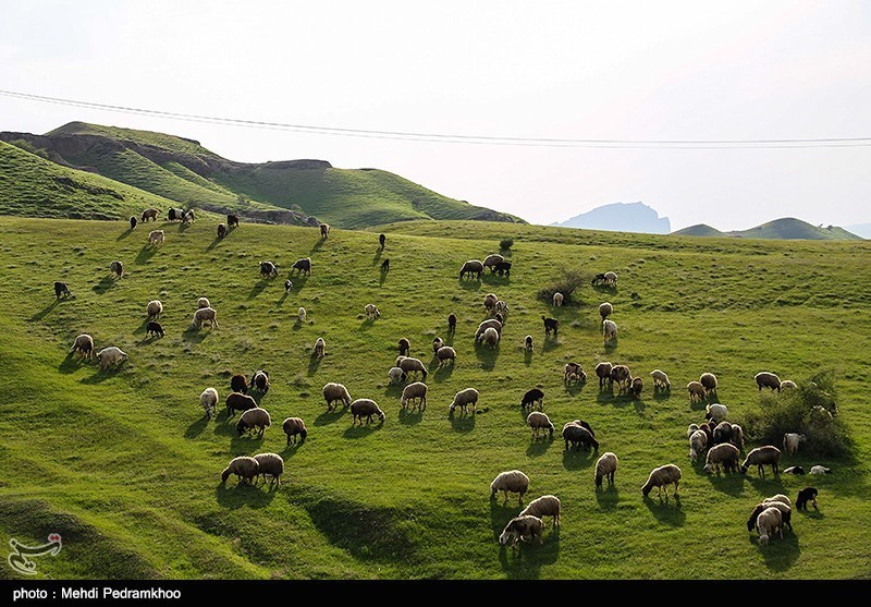 طبیعت پاییزی ایذه بهشت خوزستان