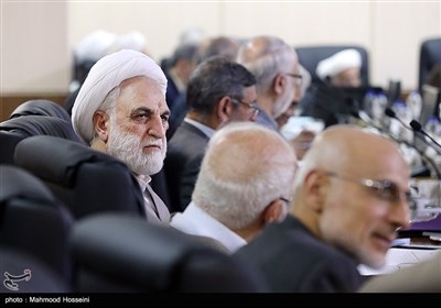 حجت الاسلام اژه ای در جلسه مجمع تشخیص مصلحت نظام