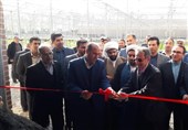 تهران| واکنش جالب سرمایهگذار آلمانی در حاشیه افتتاح گلخانه هیدروپونیک در پیشوا؛ ترامپ کیست؟