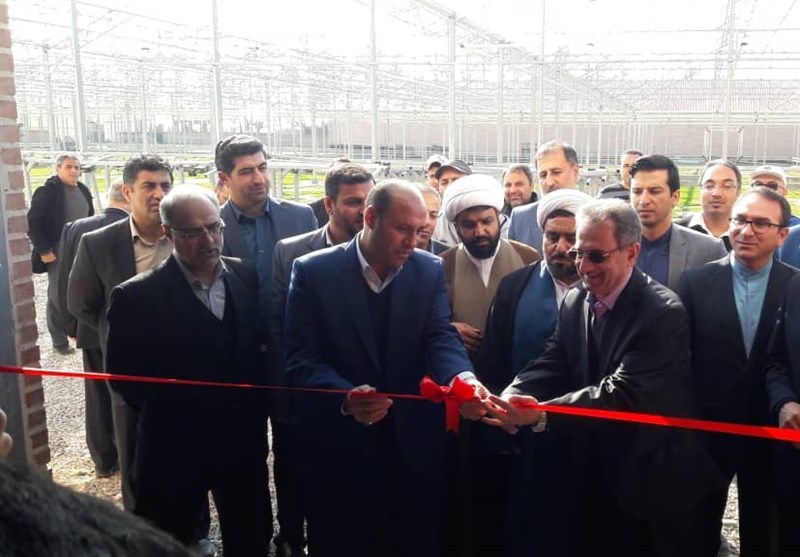 تهران| واکنش جالب سرمایه‌گذار آلمانی در حاشیه افتتاح گلخانه هیدروپونیک در پیشوا؛ ترامپ کیست؟