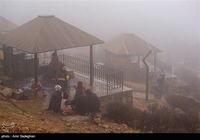 مه و باران در پارک کوهستانی دراک شیراز