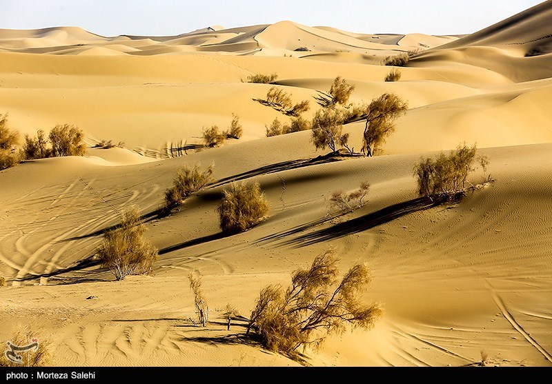 Varzaneh Desert: One of the Most Beautiful Deserts in Iran