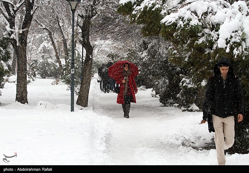 بارش برف و باران در خراسان رضوی شدت می‌گیرد/ دمای شبانه مشهد زیر صفر می‌شود