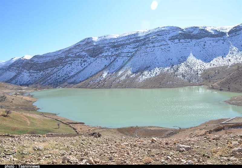 هزاران قطعه ماهی در تالاب زیلایی ‌تلف شد + فیلم