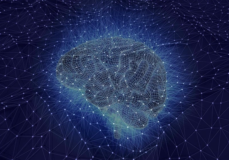 Neuromorphic Metallic Nanowire Network Shows Human Brain-Like Functions