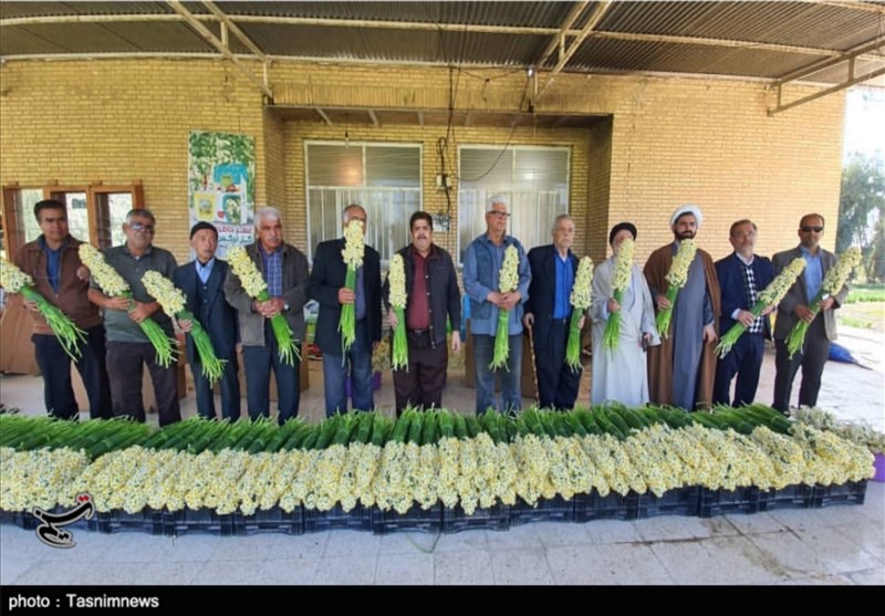 گل،بهبهان،نرگس،تسنيم،رويش