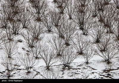 بارش برف در روستای لشکان - گیلان