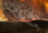 Australians Urged to Evacuate as Monster Bushfires Regenerate