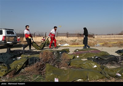 سقوط هواپیمای بوئینگ اوکراینی در جنوب تهران