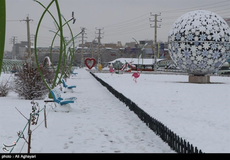 بارش برف ارومیه را سفیدپوش کرد + تصاویر‌